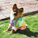 Hoddie Tie dye para mascotas