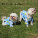 Buso abrigador para mascota