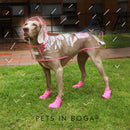 Impermeable para perro