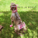 Impermeable para perro