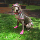 Impermeable para perro