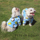 Buso abrigador para mascota