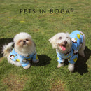 Buso abrigador para mascota