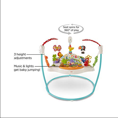 Fisher-Price Animal Activity Jumperoo