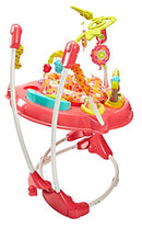 Fisher-Price Jumperoo: Pink Petals