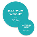 Summer 3Dlite Convenience Stroller, Black (2016)