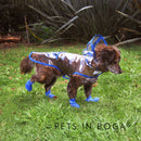 Impermeable para perro