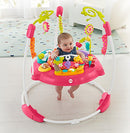 Fisher-Price Jumperoo: Pink Petals