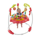 Fisher-Price Jumperoo: Pink Petals