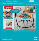 Fisher-Price Animal Wonders Jumperoo