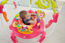 Fisher-Price Jumperoo: Pink Petals