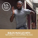 Optimum Nutrition Gold Standard 100% Whey Protein Powder, Naturally Flavored Vanilla, 4.8 Pound (Packaging May Vary)