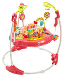 Fisher-Price Jumperoo: Pink Petals