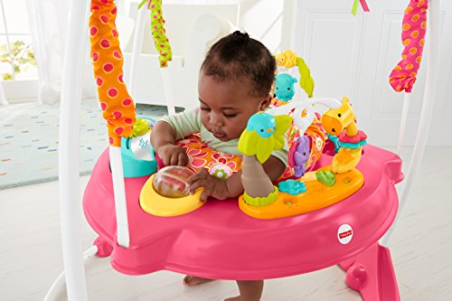 Fisher Price Jumperoo Pink Petals