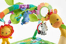 Fisher-Price Rainforest Music & Lights Deluxe Gym