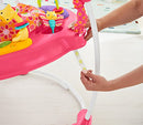 Fisher-Price Jumperoo: Pink Petals