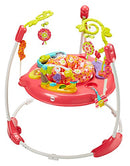 Fisher-Price Jumperoo: Pink Petals