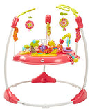 Fisher-Price Jumperoo: Pink Petals