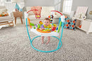 Fisher-Price Animal Activity Jumperoo