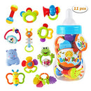 WISHTIME Rattle Teether Baby Toys - Baby 11pcs Shake and GRAP Baby Hand Development Rattle Toys for Newborn Infant with Giant Bottle Gift for 3 6 9 12 18Month