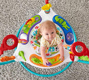 Fisher-Price Animal Activity Jumperoo
