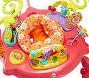 Fisher-Price Jumperoo: Pink Petals