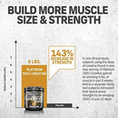 MuscleTech Platinum Creatine Monohydrate Powder, 100% Pure Micronized Creatine Powder, 14.1oz (80 Servings)