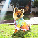 Hoddie Tie dye para mascotas