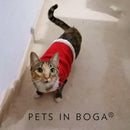 Sueter de lana para mascotas