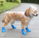 Botas para mascota / Dog rainy boots
