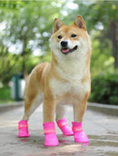 Botas para mascota / Dog rainy boots