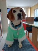 Buso abrigador para mascota